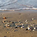 With Pool In 45641 Apartman *