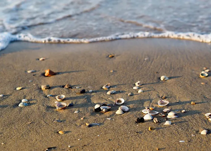 With Pool In 45641 Appartamento *